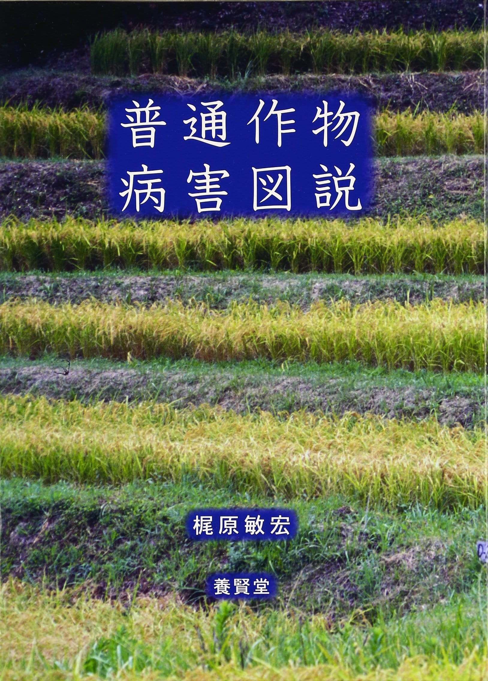普通作物病害図説