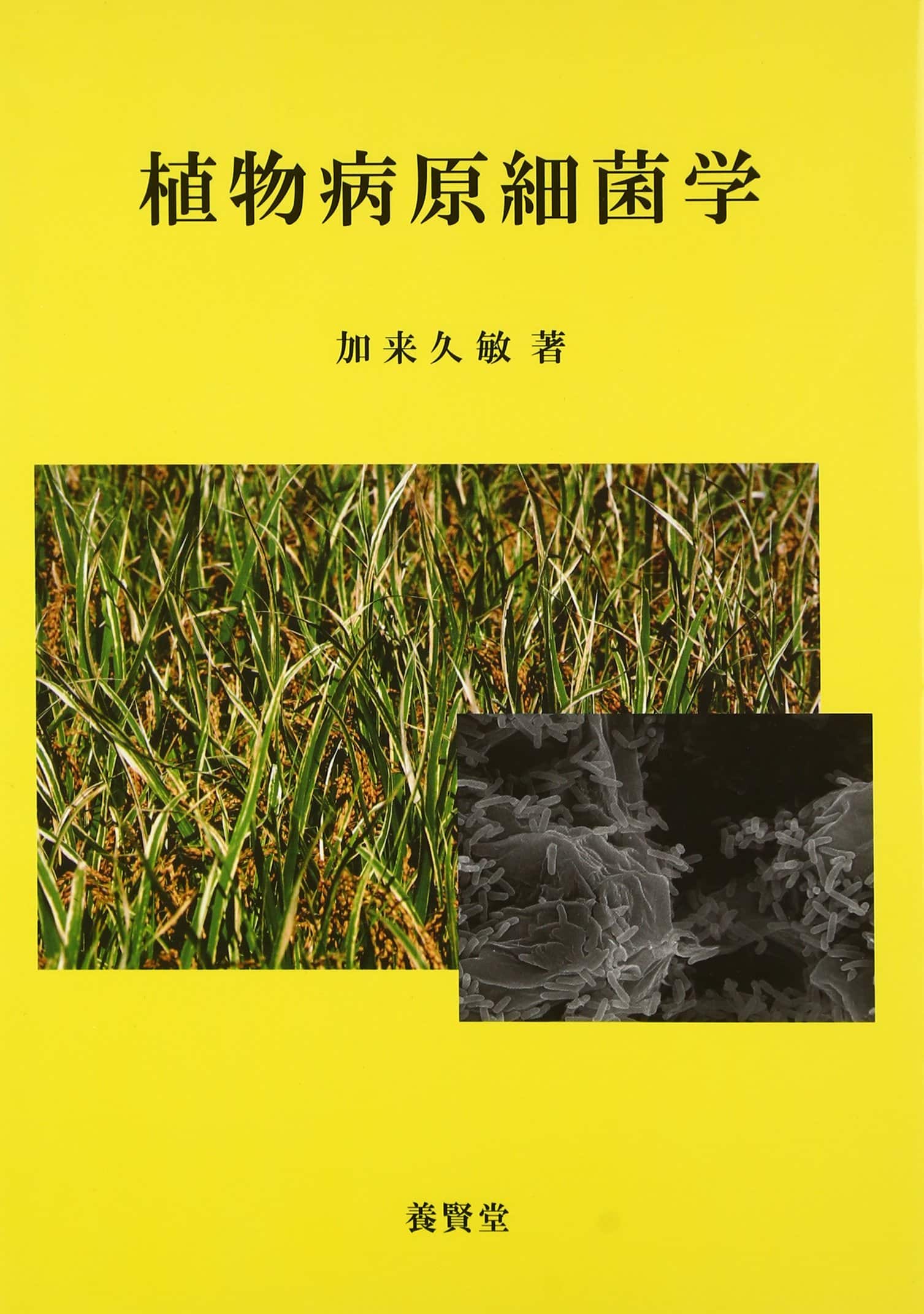 植物病原細菌学　株式会社　養賢堂