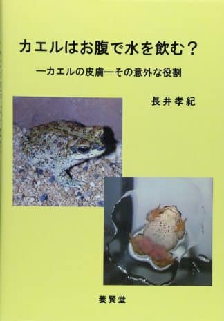 カエルはお腹で水を飲む？