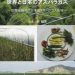 世界と日本のアスパラガス ―国際化時代の日本のアスパラガス栽培―
